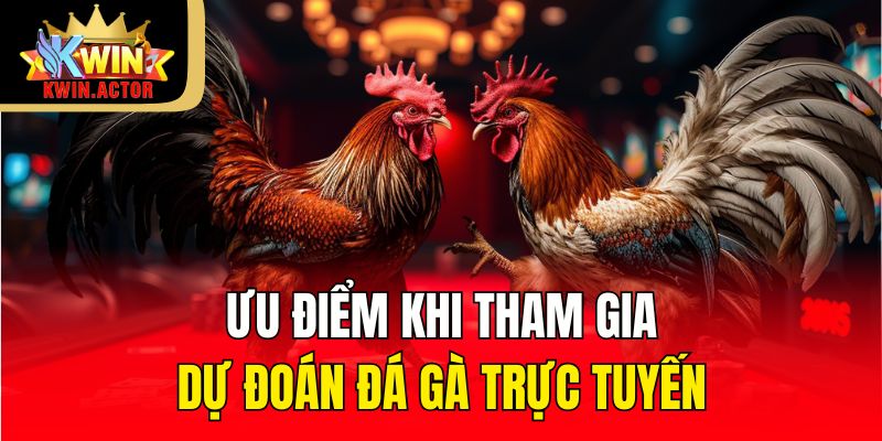 Ưu điểm khi tham gia dự đoán đá gà trực tuyến